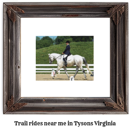 trail rides near me in Tysons, Virginia